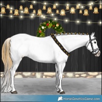 Horse Color:Buckskin Leopard 