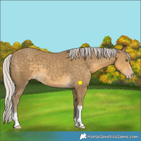 Horse Color:Silver Classic Cream Champagne 