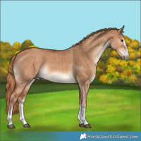 Horse Color:White Spotted Red Dun Tobiano Brindle 