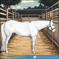 Horse Color:Gray Buckskin Tobiano Frame Rabicano 