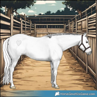 Horse Color:Gray Bay Roan Sabino