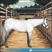 Horse Color:Gray Buckskin Roan Frame 