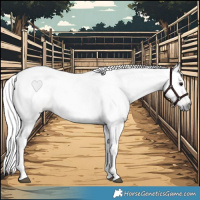 Horse Color:Gray Buckskin Roan Tobiano