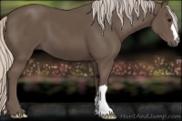 Horse Color:Silver Black 