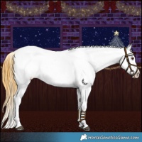 Horse Color:Buckskin Dun Near Leopard 