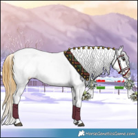 Horse Color:Buckskin Near Leopard 