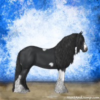Horse Color:Black Tobiano Frame 