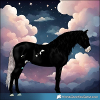 Horse Color:Watercolor Bay Tobiano Appaloosa 