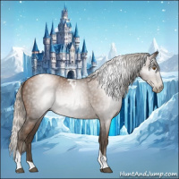 Horse Color:Gray Silver Black Pearl Tobiano