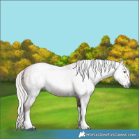 Horse Color:Gray Silver Black Pearl Tobiano 