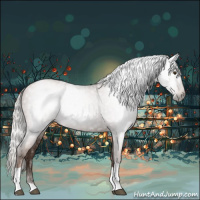 Horse Color:Gray Silver Black Pearl Tobiano