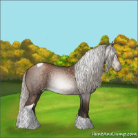 Horse Color:Gray Silver Black Pearl Tobiano