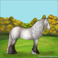 Horse Color:Gray Silver Black Pearl Tobiano
