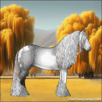 Horse Color:Gray Silver Blue Roan Tobiano 