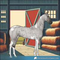 Horse Color:Grullo Roan Tobiano 