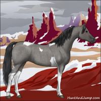 Horse Color:Grullo Roan Tobiano 