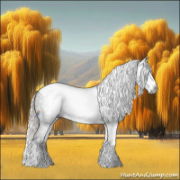 Horse Color:Gray Silver Blue Roan Splash Tobiano