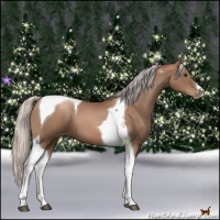 Horse Color:Silver Black Pearl Tobiano 