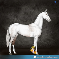Horse Color:Gray Silver Black Pearl Tobiano 