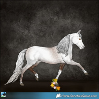 Horse Color:Gray Silver Black Pearl Tobiano