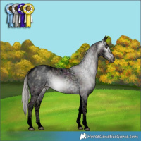 Horse Color:Gray Void Midnight Silver Black Ice Pearl Tobiano Appaloosa 