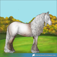 Horse Color:Gray Silver Black Pearl Tobiano 