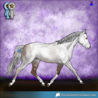 Horse Color:Gray Silver Black Pearl Tobiano 