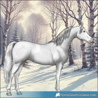 Horse Color:White Spotted Silver Black Chinchilla Pearl Tobiano 