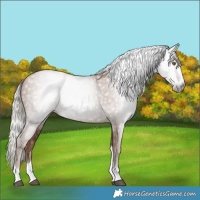 Horse Color:Gray Silver Black Pearl Tobiano 