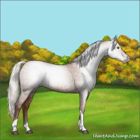 Horse Color:Gray Silver Black Pearl Tobiano 