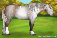 Horse Color:Gray Silver Black Pearl Tobiano