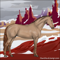 Horse Color:Red Dun 