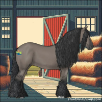 Horse Color:Grullo 