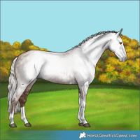 Horse Color:Gray Silver Black Pearl Tobiano 