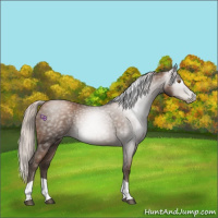 Horse Color:Gray Silver Black Pearl Tobiano 