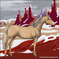 Horse Color:Palomino Roan Frame 