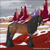 Horse Color:Bay Roan 