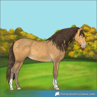 Horse Color:Sable Cream Champagne 