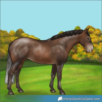 Horse Color:Gray Brown Pearl