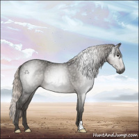 Horse Color:Gray Silver Black 