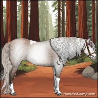 Horse Color:Gray Silver Black Pearl Tobiano