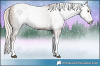 Horse Color:Gray Silver Black Pearl Tobiano 