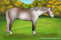 Horse Color:Gray Silver Black Pearl Tobiano 