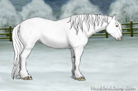 Horse Color:Gray Silver Black Pearl Tobiano 