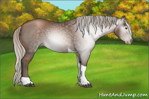 Horse Color:Gray Silver Black Pearl Tobiano 