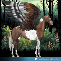 Horse Color:Gray Silver Black Pearl Tobiano Rabicano 