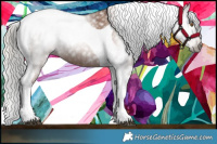 Horse Color:Gray Silver Black Pearl Tobiano 