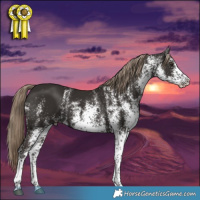 Horse Color:White Spotted Liver Chestnut Splash 