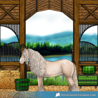 Horse Color:Gold Champagne Pearl Rabicano  and Gold Champagne Pearl Rabicano