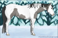 Horse Color:Smoky Grullo Roan Splash Tobiano